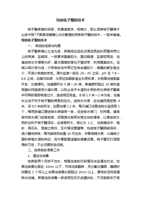 饲养梭子蟹的技术