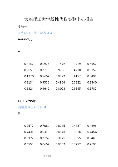 大连理工大学线性代数实验上机报告