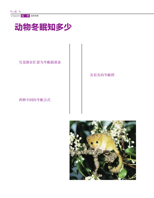 动物冬眠知多少