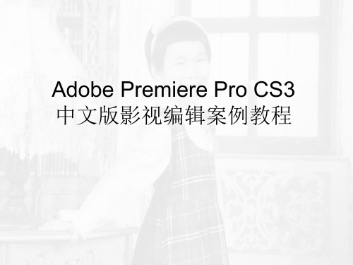 Premiere-CS3入门教程