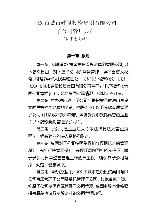 XX集团子公司管理办法