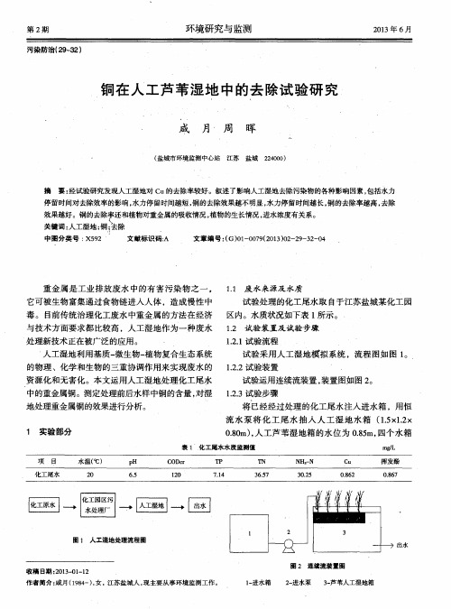 铜在人工芦苇湿地中的去除试验研究