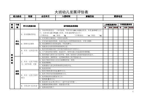 大班幼儿发展评估