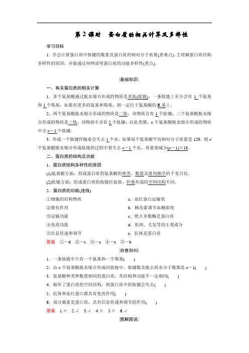 2.2.2 蛋白质的相关计算及多样性