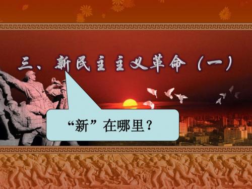 历史：新民主主义革命[课件10] (人民版必修一)