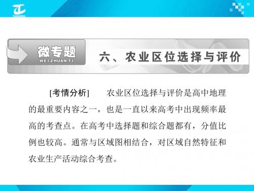 微专题六 农业区位选择与评价