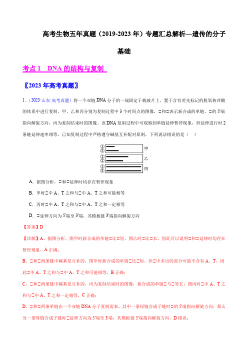 高考生物五年真题(2019-2023年)专题汇总解析—遗传的分子基础