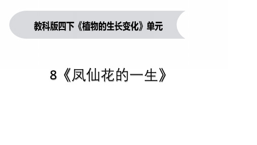 教科版四年级下册科学 1-6《果实和种子》教学课件