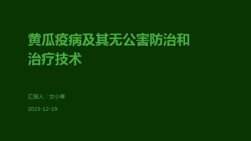 黄瓜疫病及其无公害防治和治疗技术