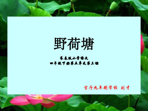 野荷塘