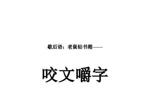 《咬文嚼字》ppt