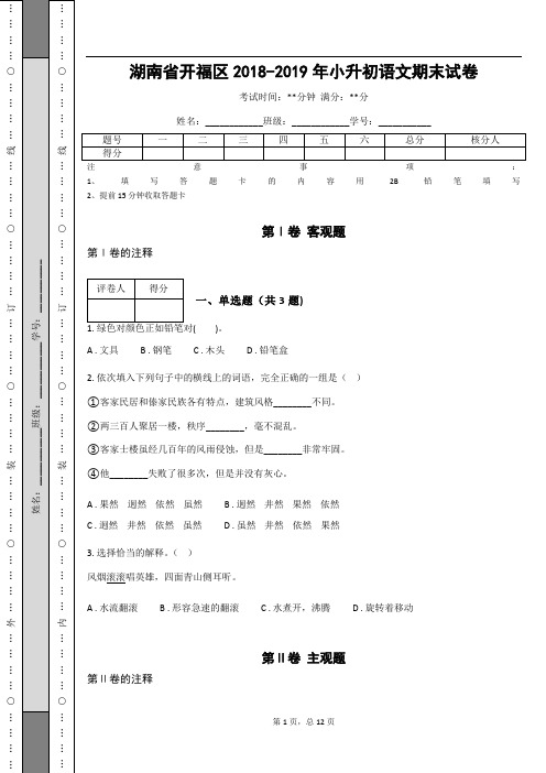 _湖南省开福区2018-2019年小升初语文期末试卷_