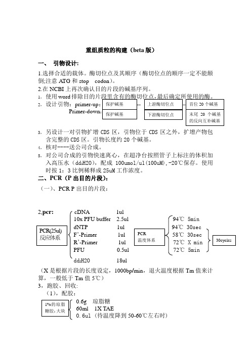 重组质粒构建(protocol)