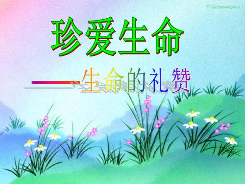 《呱……呱》课件3苏教版