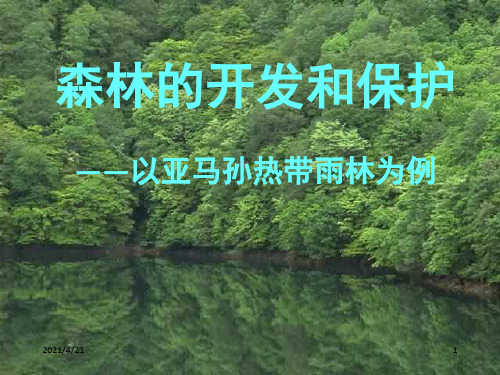 森林的开发和保护——以亚马孙热带雨林为例(2)