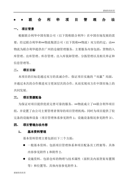 联合利华项目管理办法.docx