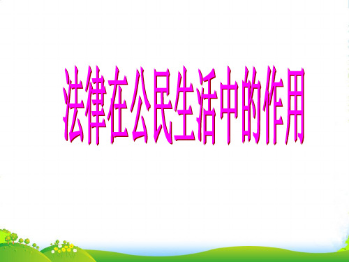 八年级政治上册 第七课 第二框 法律在公民生活中的作用课件 鲁教