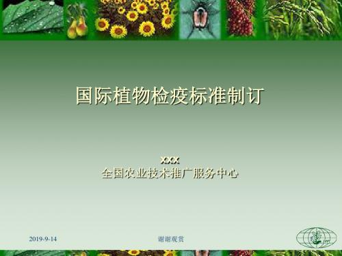 国际植物检疫标准制订.ppt