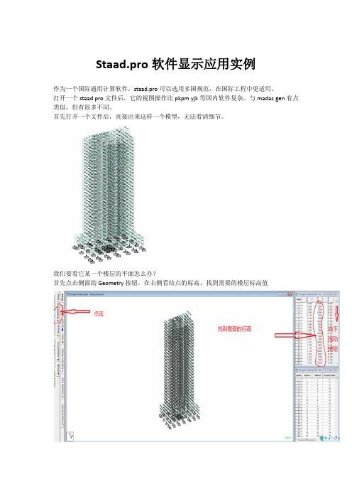 Staadpro软件显示应用实例