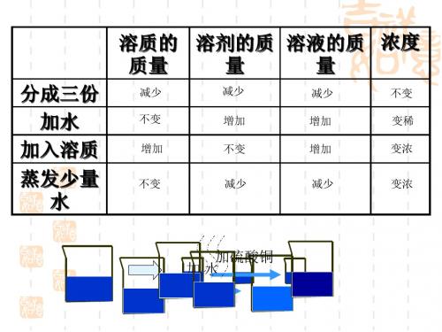 初中九年级(初三)化学 《溶质的质量分数》课件