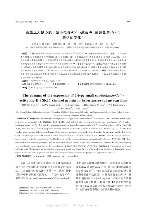 高血压大鼠心肌2型小电导-Ca2+-激活-K+通道蛋白（SK2）表达的变化