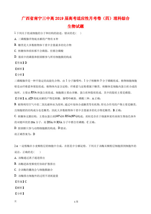2019届广西壮族自治区南宁第三中学高三下学期高考适应性月考(四)理科综合生物试卷(解析版)