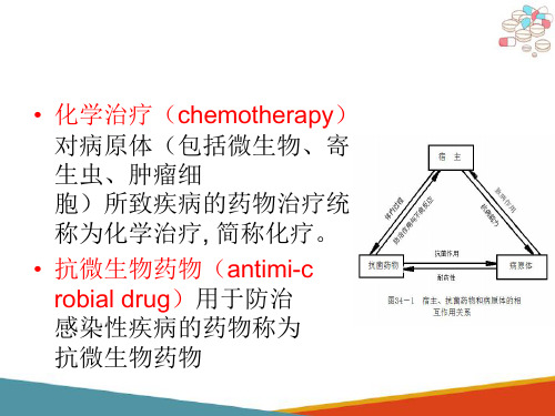 抗菌药物概述—常用术语(药理学课件)