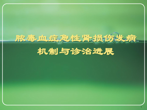 脓毒血症j急性肾损伤发病机制与诊治进展PPT课件