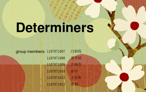 determners 英语语法 限定词