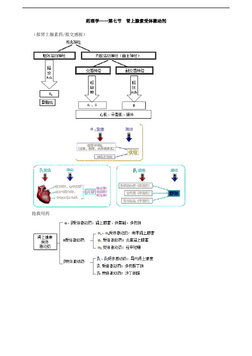 主管药师专业知识讲义-药理学——第七节 肾上腺素受体激动剂