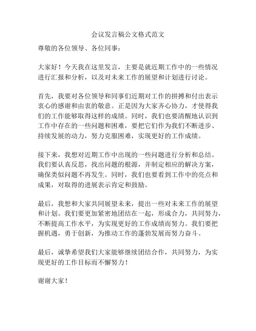 会议发言稿公文格式范文