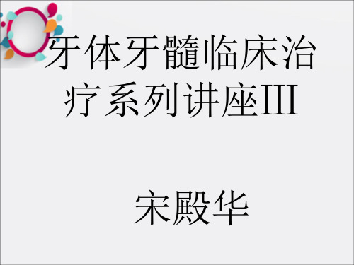 牙体牙髓临床治疗系列讲座Ⅲppt课件