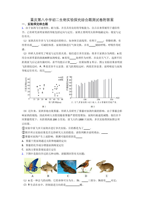 重庆第八中学初二生物实验探究综合题测试卷附答案