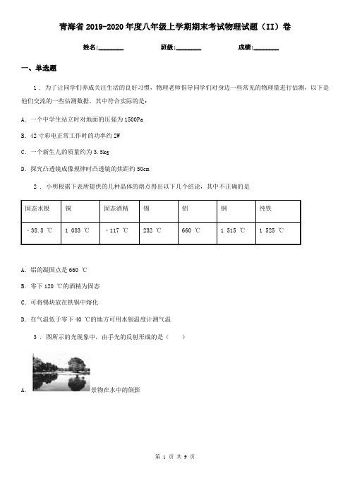 青海省2019-2020年度八年级上学期期末考试物理试题(II)卷