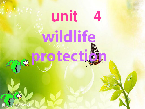 人教版高中英语 必修二 Unit4 《Wildlife protection ---Reading》