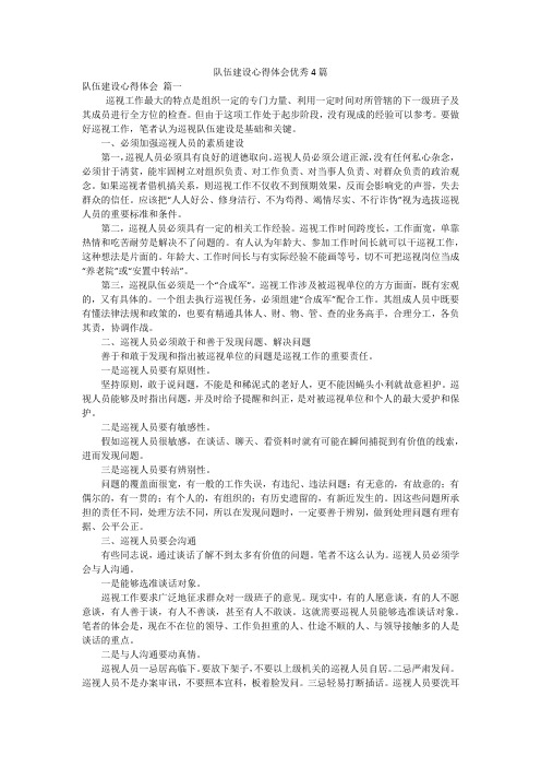 队伍建设心得体会优秀4篇