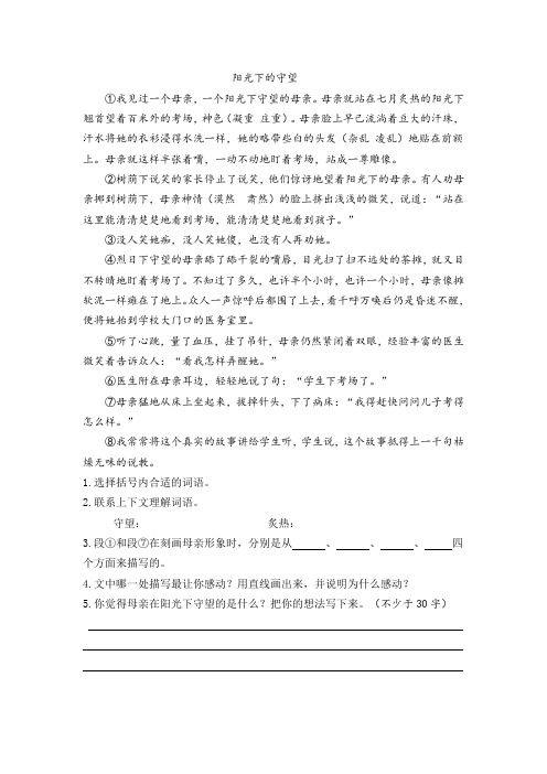 《阳光下的守望》阅读练习及答案