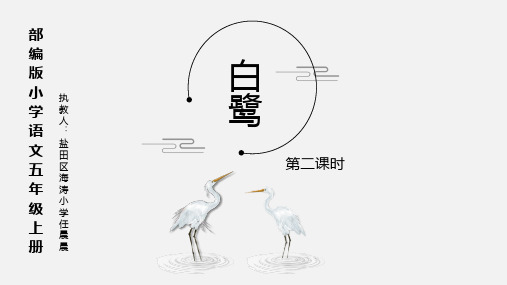 【2022深圳市教师微课大赛小学语文】白鹭(第二课时)