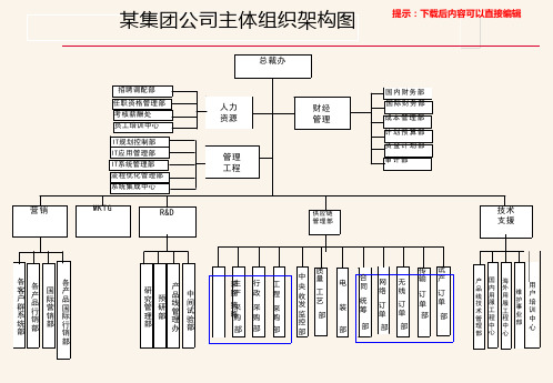 某集团公司主体组织架构图_PPT模板