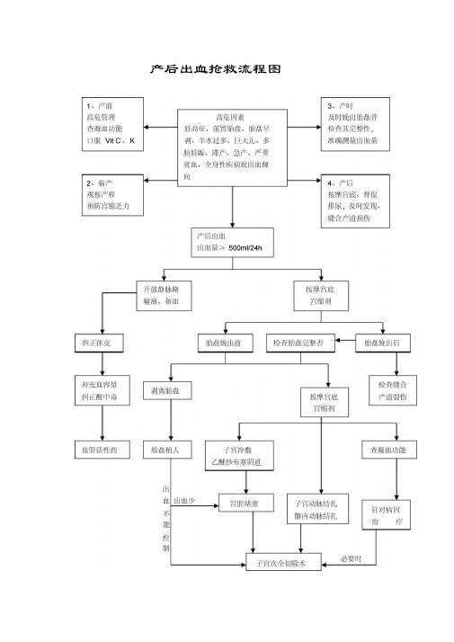 产后出血,子痫,羊水栓塞抢救流程图