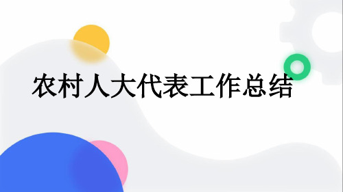 农村人大代表工作总结