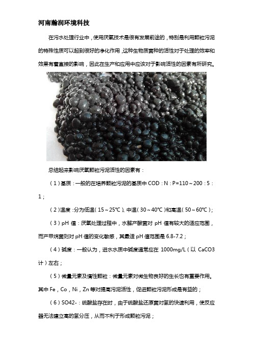 厌氧颗粒污泥活性影响因素