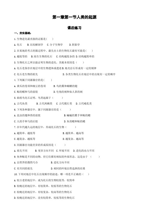 济南版八年级生物下册5.1.2《生物进化的证据》课后练习(包含答案)