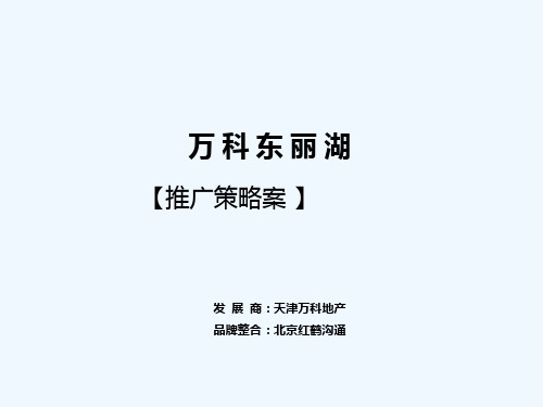 万科天津万科东丽湖项目推广策略方案134P红鹤沟通