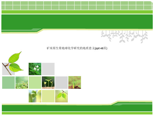 矿床原生晕地球化学研究的地质意义(ppt 48页)_6156