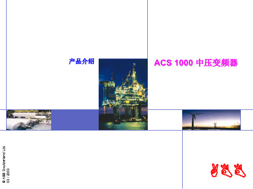 acs1000产品介绍