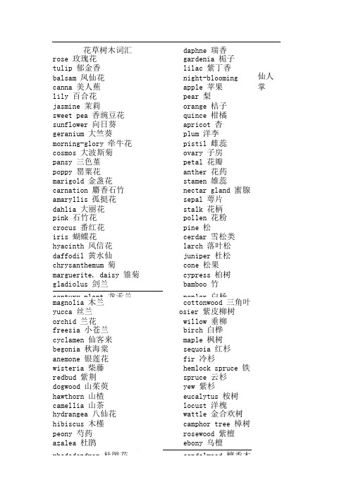 常见植物英文单词