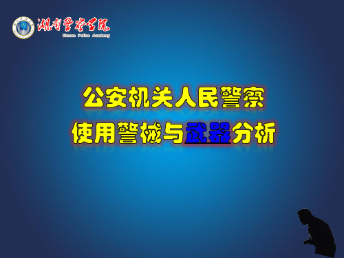 【警察培训课件】公安机关人民警察使用警械与武器分析PPT