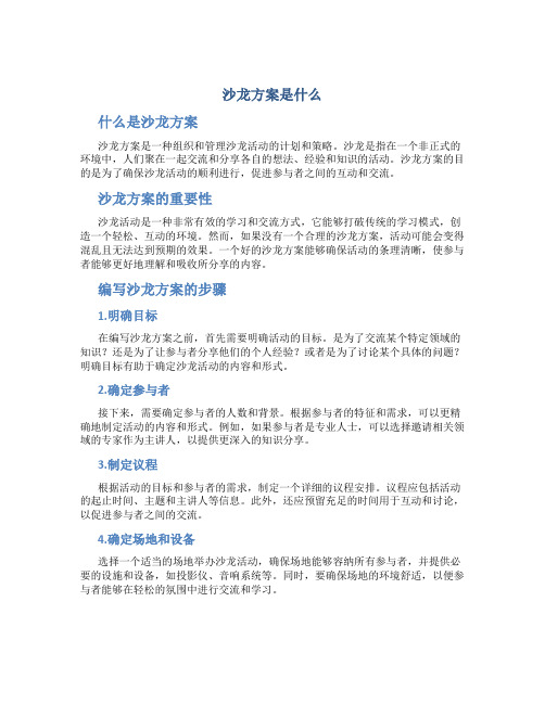 沙龙方案是什么