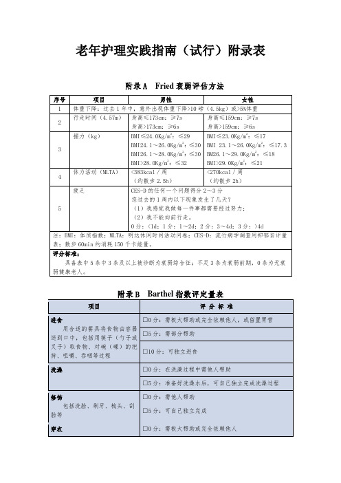 老年护理实践指南(试行)附录表